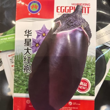 华星大红袍茄子种子早熟高产园茄种子10克口感好牛心茄种子