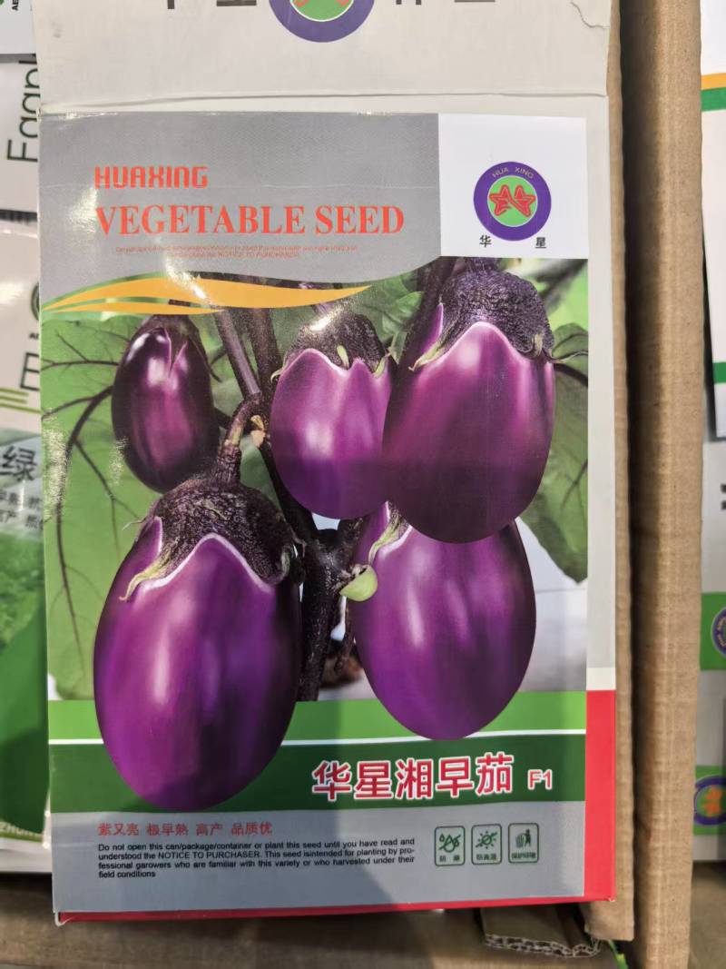 华星湘早茄种子早熟果皮紫黑椭圆型圆茄子种子