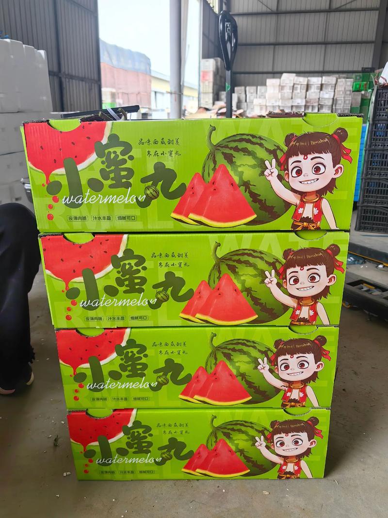 山东小糖丸西瓜精品红墩墩西瓜基地直发包熟包甜