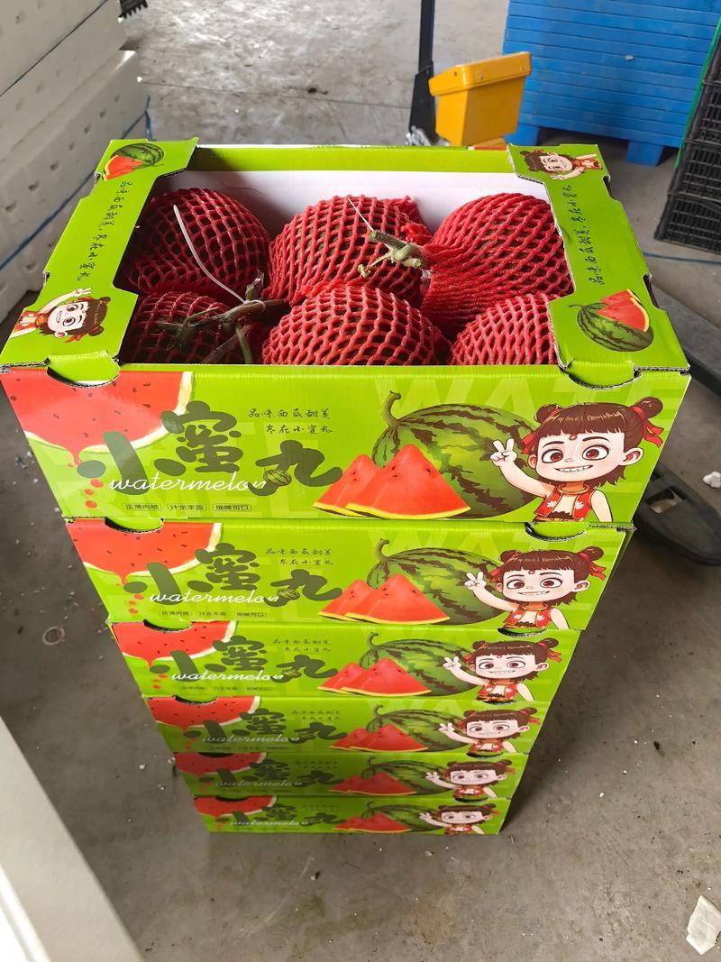 山东小糖丸西瓜精品红墩墩西瓜基地直发包熟包甜