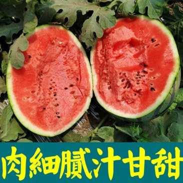 山东聊城大棚甜王西瓜/量大从优/产地直发货源充足