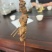 鸭仔丁串，烧烤串串，成品串，工厂直发