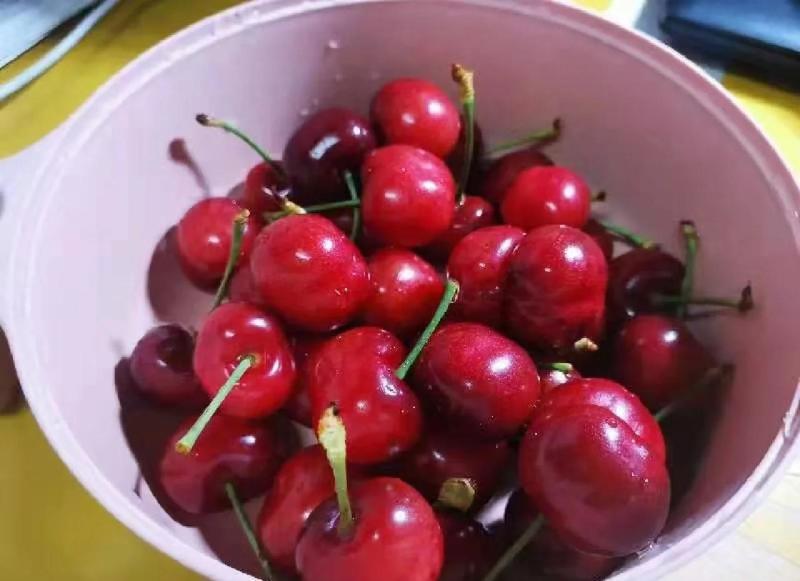 陕西大樱桃基地直发视频看货保质保量一手货源