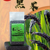黑米高山泉水种植，保存黑米独特香味500g/袋真空包装