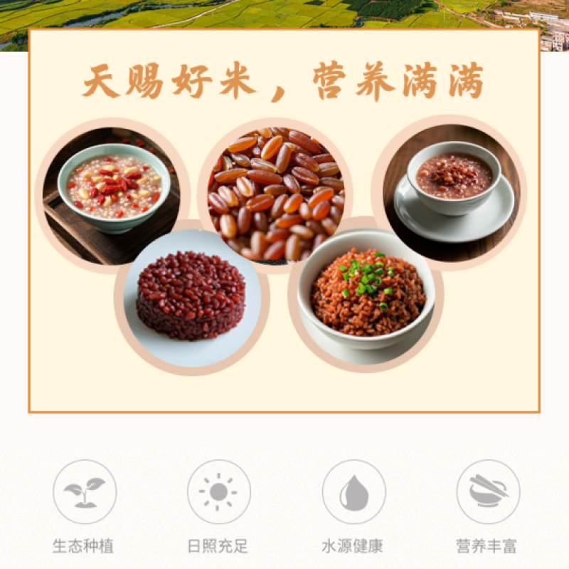 象州红米1kg/袋，真空包装