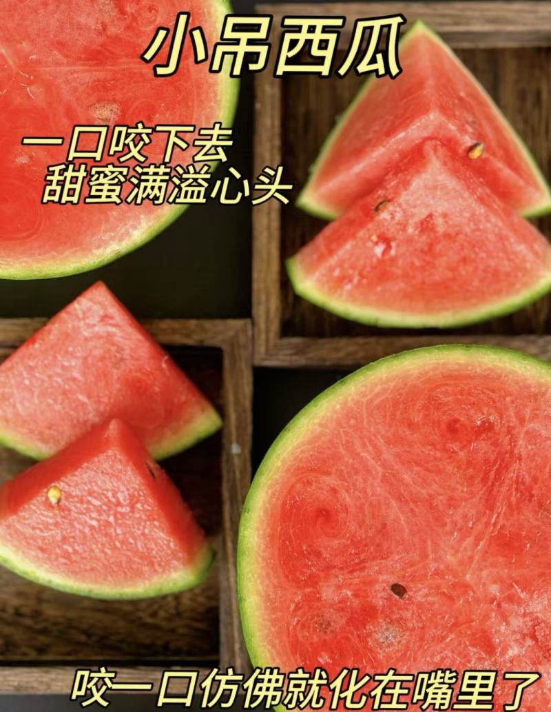 【热卖推荐】全美2K西瓜小吊瓜品类齐全几十万斤欢迎采购