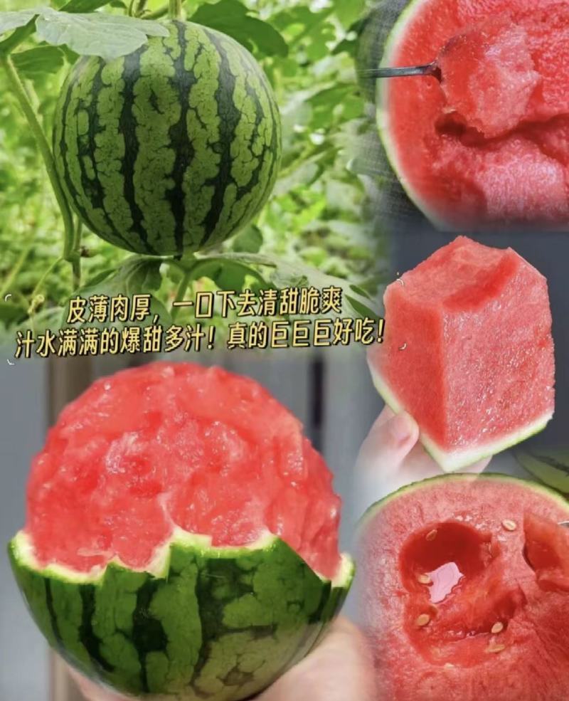 【实力推荐】小吊瓜全美2K西瓜包你满意品质保障先到先得