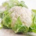 陕西精品松花菜/菜花/产地直发量大从优货源充足价格便宜