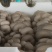 平菇一手货源基地直发品质保证量大从优欢迎来电