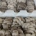 平菇一手货源基地直发品质保证量大从优欢迎来电