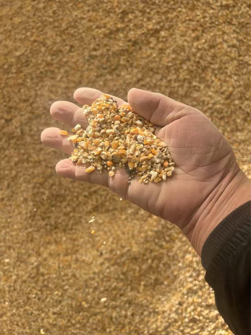 山东菏泽郓城县碎玉米自家工厂直销全年都有现货