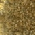 山东菏泽郓城县碎玉米自家工厂直销全年都有现货