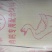 山东菏泽原料供应基地饲料颗粒可发全国随时有现货