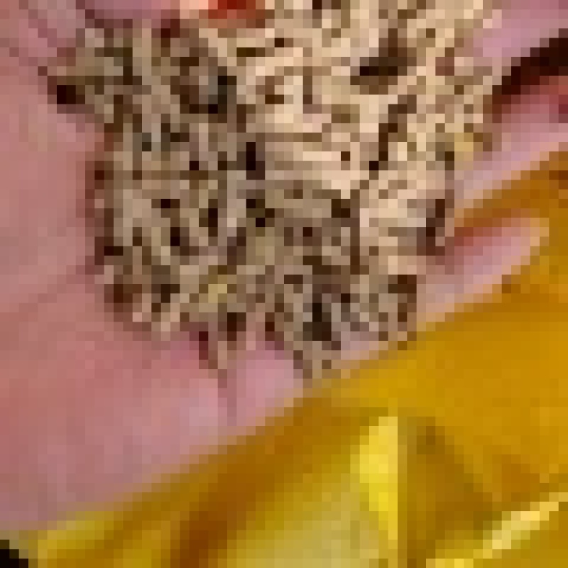 山东菏泽原料供应基地饲料颗粒可发全国随时有现货