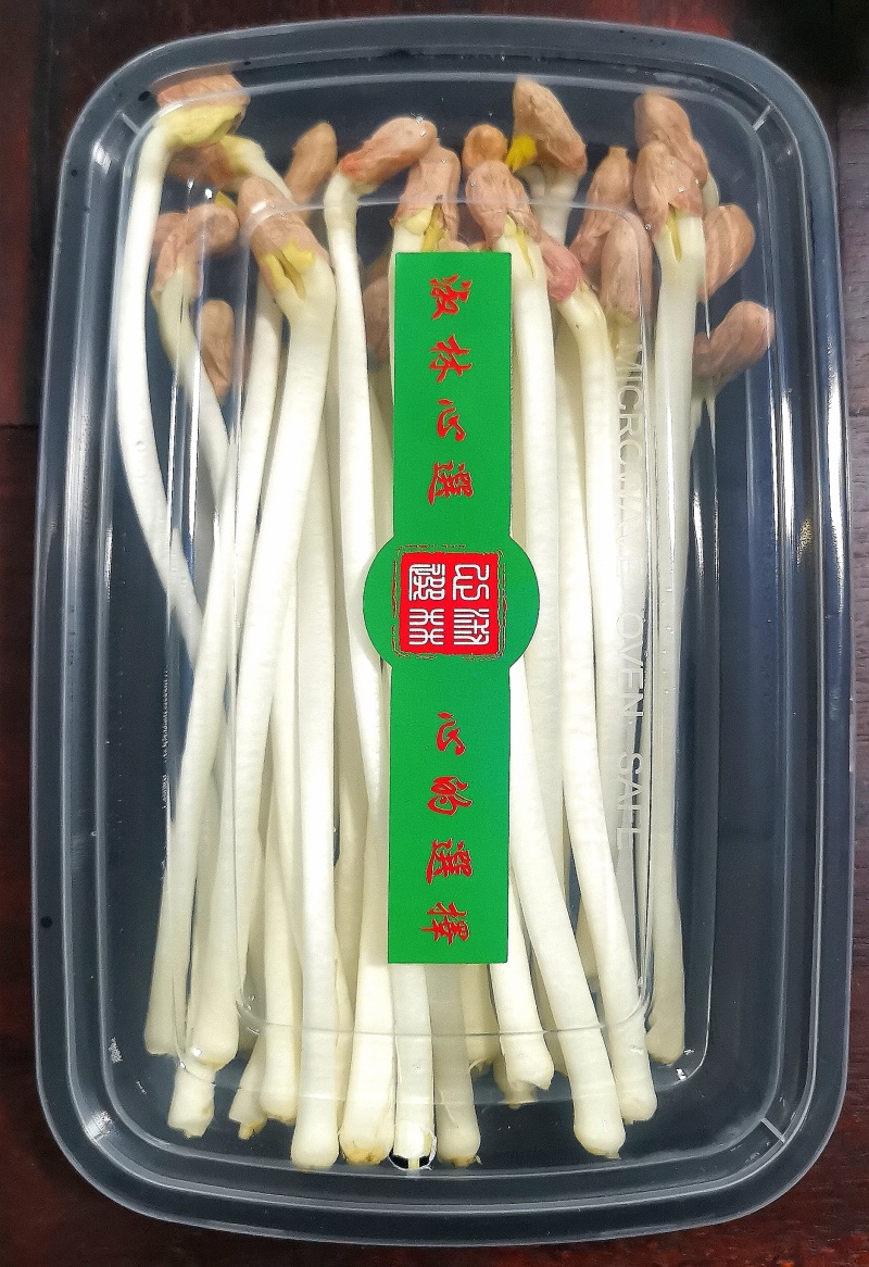 新鲜花生芽一手货源诚信合作量大从优欢迎来电