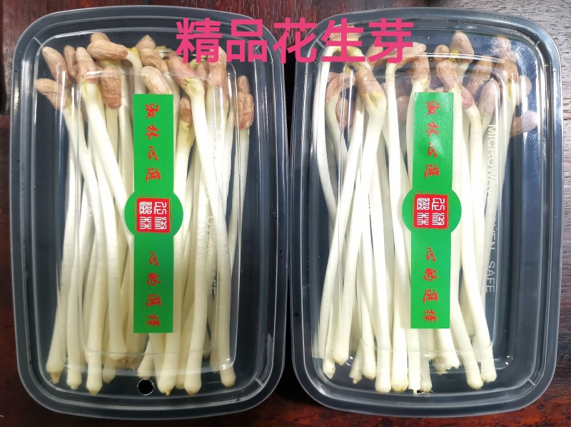 水培花生芽（200克盒装）量大从优价格美丽欢迎咨询