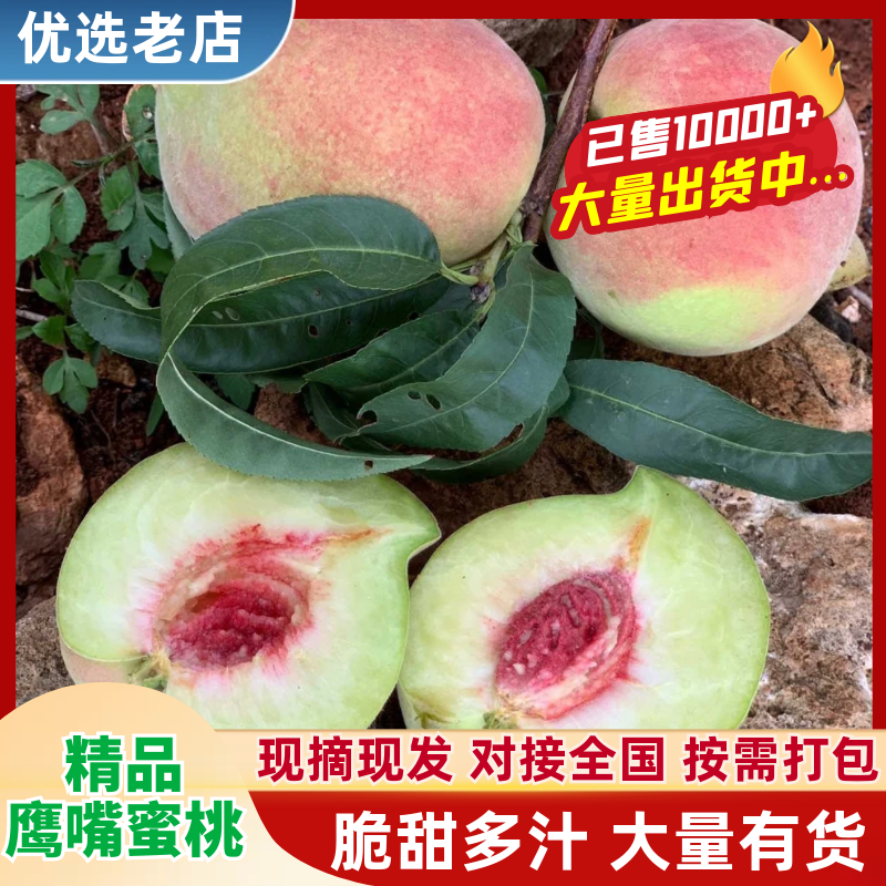 精品鹰嘴桃云南桃货源充足量大从优质量保证欢迎咨询