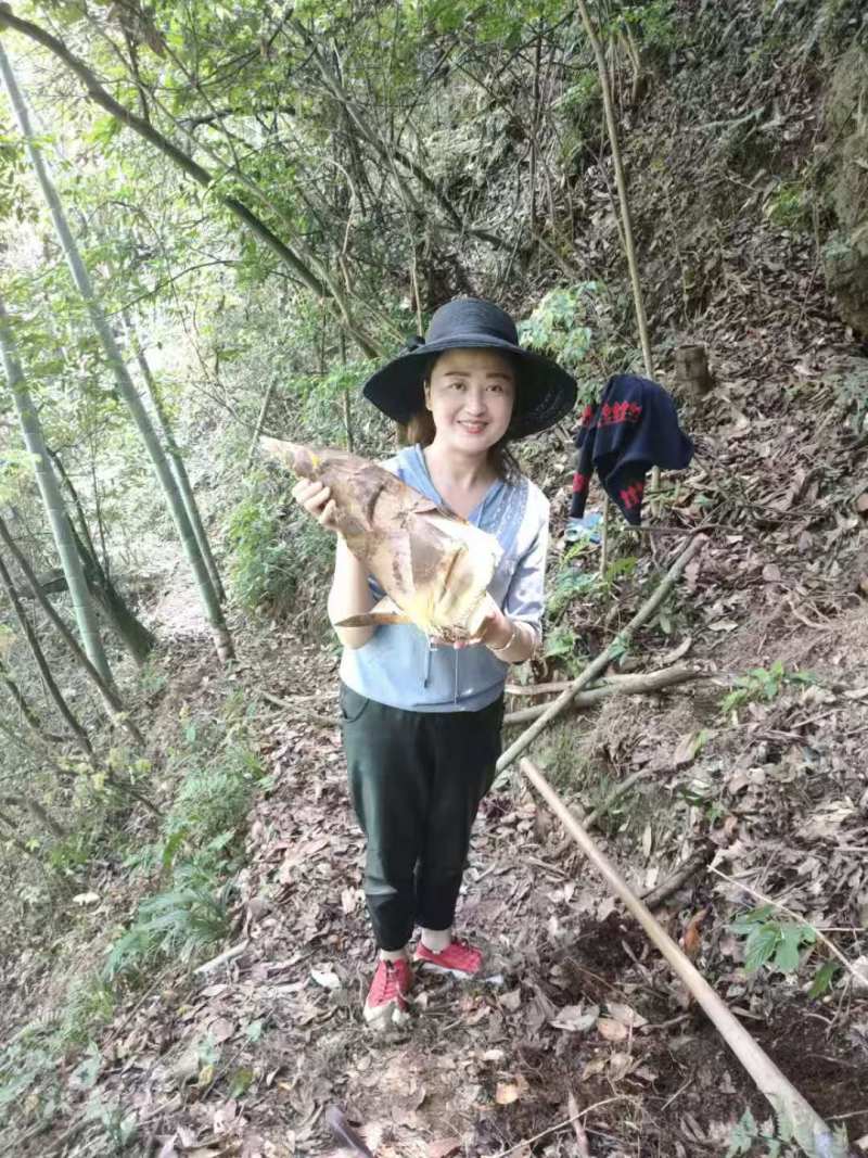 笋干湖北笋干、现货供应、保质保量、可视频看货电联价格可谈