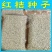 四川红桔种子