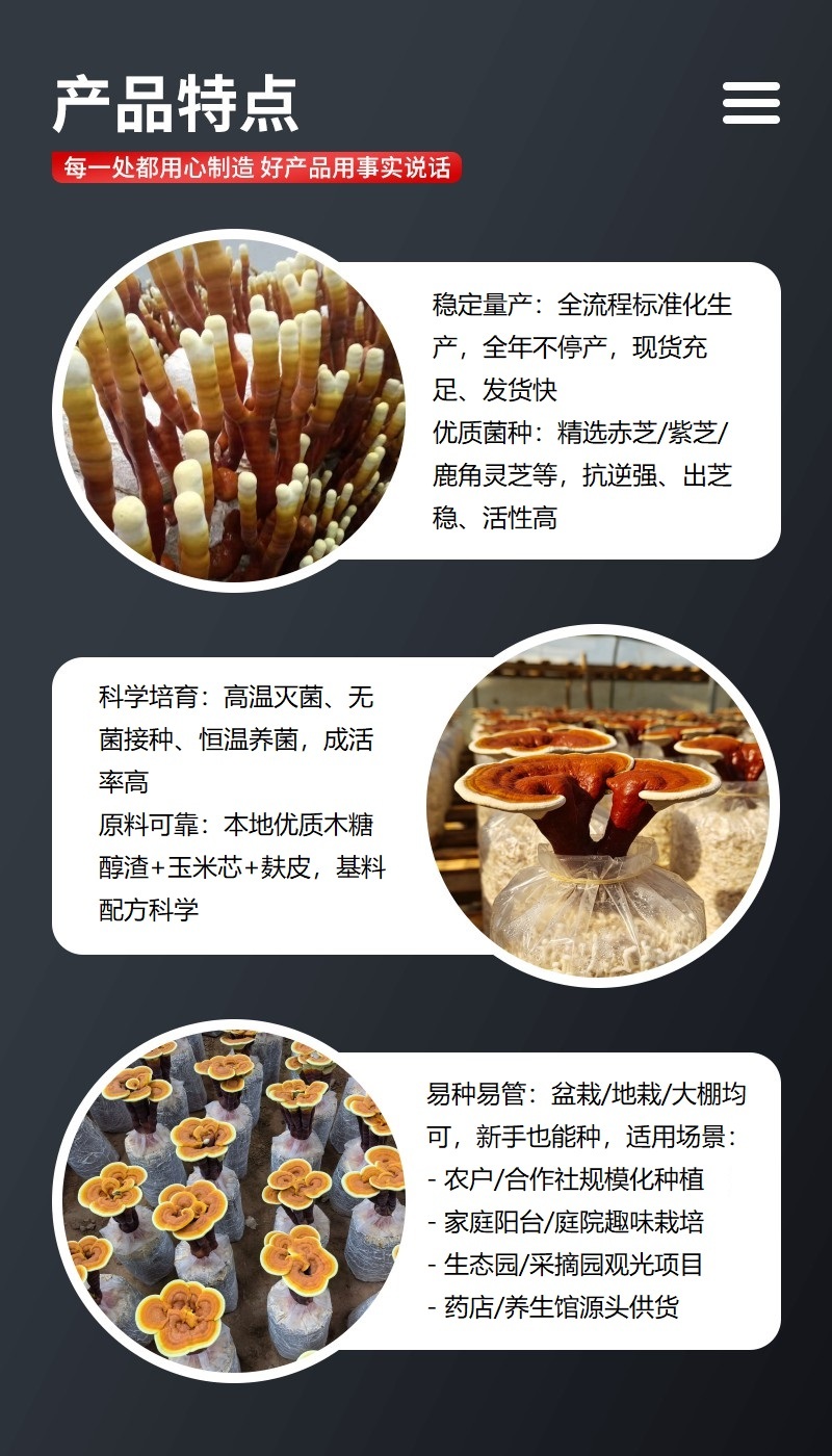 灵芝菌包批发家庭种植活体灵芝菌种可食用观赏技术支持