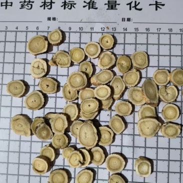 黄芪圆切片干货价格实惠
