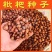 枇杷种子毛桃树种子杨梅种子青梅种子油茶树种子枇杷砧木种子