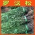 罗汉松苗罗汉松小苗小叶罗汉松树苗绿化苗木基地