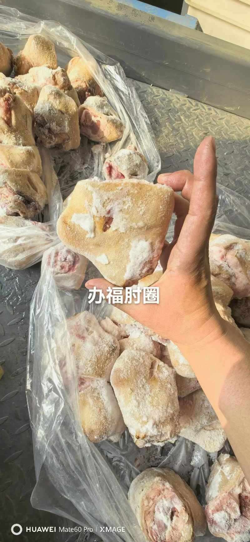 火烧毛猪肘圈