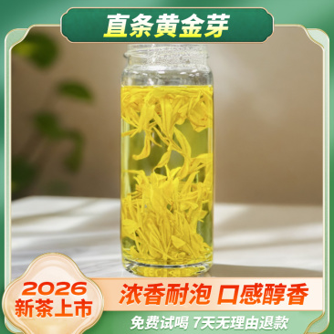 2026新茶口粮黄金芽浓香耐泡茶叶安吉芽母树核心产区直条