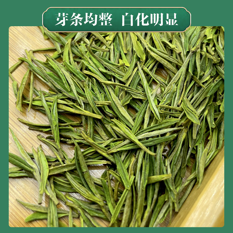 2026新茶口粮黄金芽浓香耐泡茶叶安吉芽母树核心产区直条