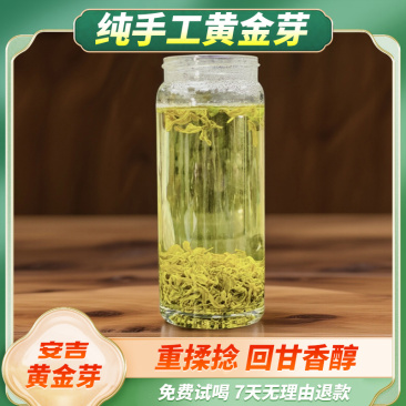 2026纯手工黄金芽茶叶新茶春茶绿茶黄金叶A15