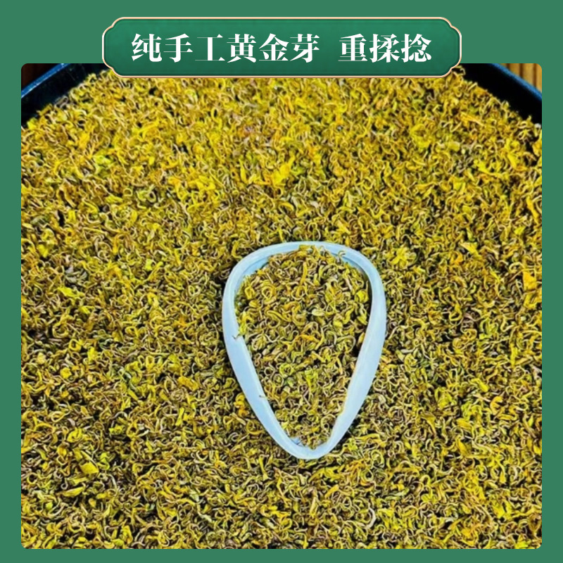 2026纯手工黄金芽茶叶新茶春茶绿茶黄金叶A15