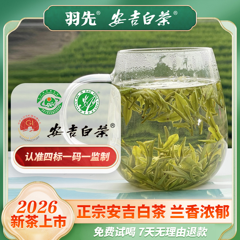 2026手工安吉白茶新茶绿茶特级B30