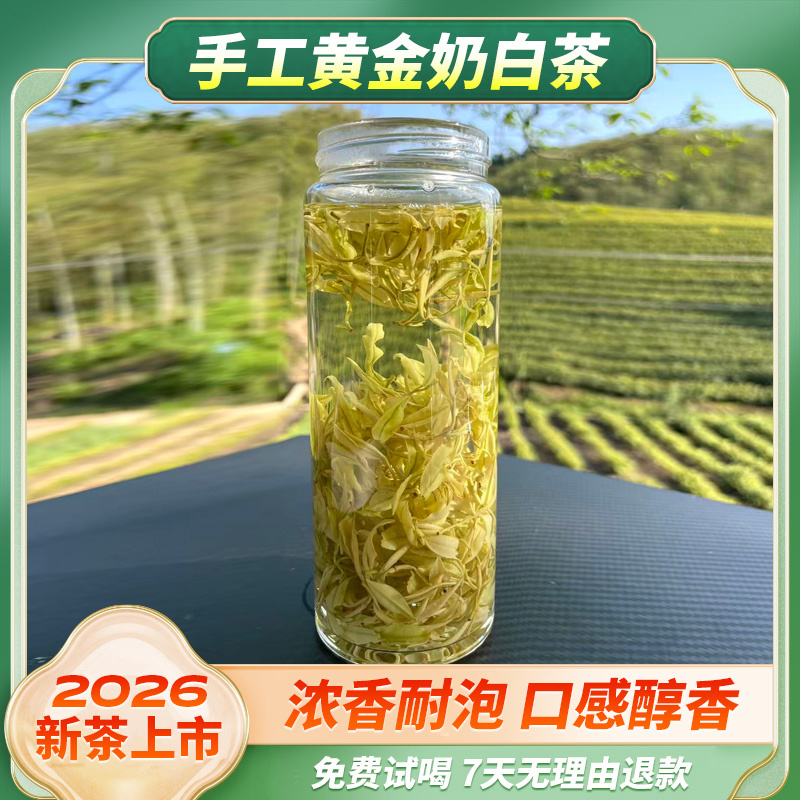 2026安吉黄金奶白茶手工口粮茶手工制作口感醇香G30