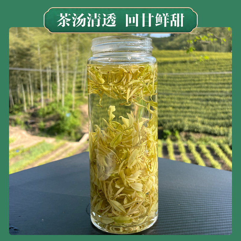 2026安吉黄金奶白茶手工口粮茶手工制作口感醇香G30
