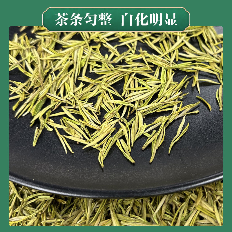 2026新茶头采黄金奶白茶黄金芽茶叶明前绿茶春茶礼盒奶香
