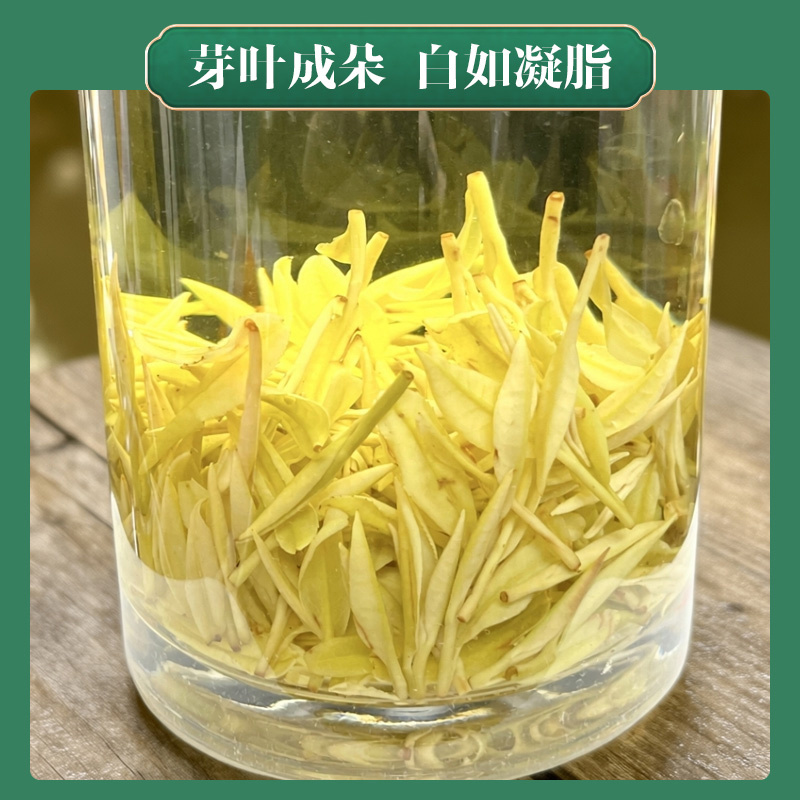 2026新茶头采黄金奶白茶黄金芽茶叶明前绿茶春茶礼盒奶香