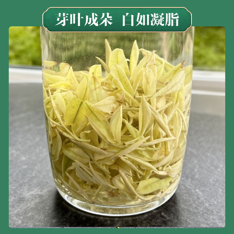 2026手工黄金奶白茶安吉春茶奶香味劲道足入口甜丝丝