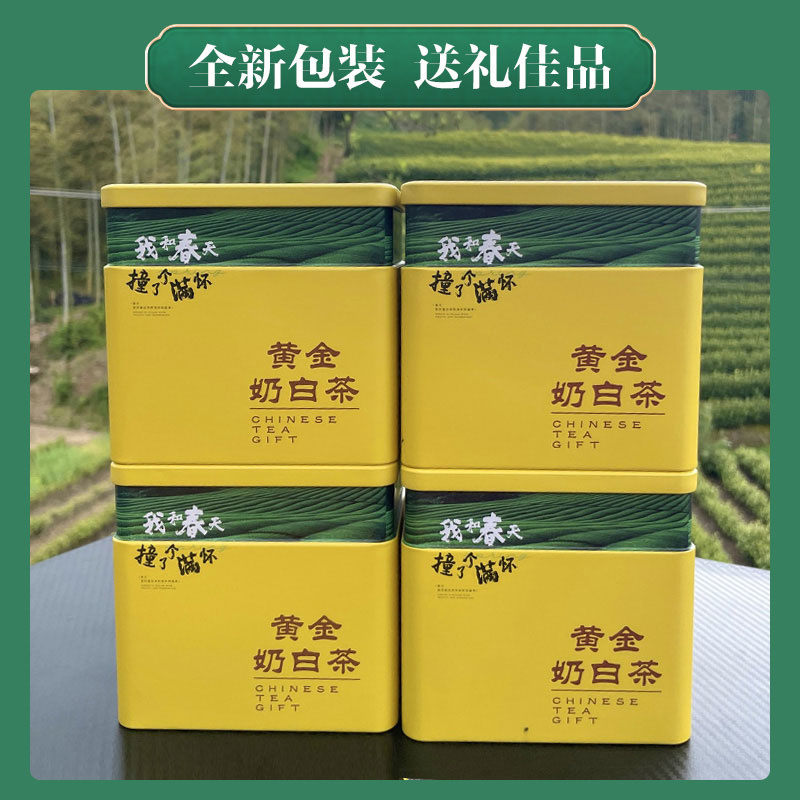 2026手工黄金奶白茶安吉春茶奶香味劲道足入口甜丝丝