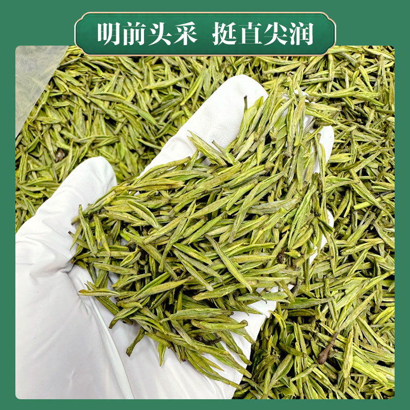 2026明前新茶安吉白茶撩头嫩芽春茶原产地直供高端送礼盒