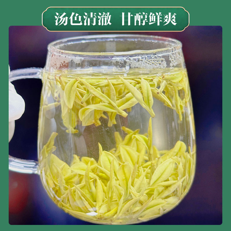 2026明前新茶安吉白茶撩头嫩芽春茶原产地直供高端送礼盒