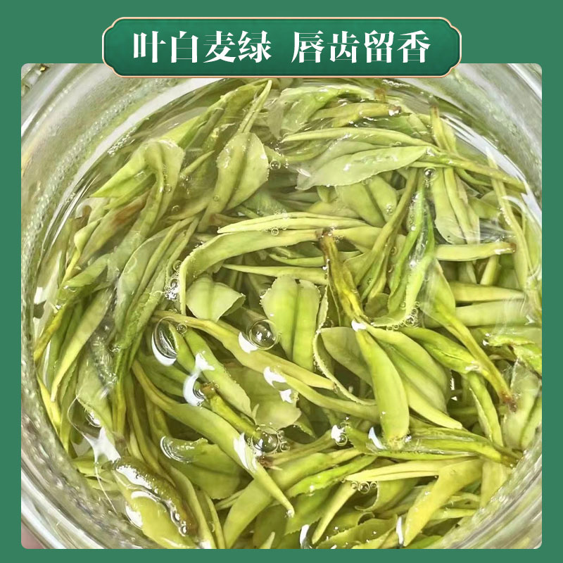 2026口粮白茶茶香浓郁回甘鲜甜安吉原产地核心产区