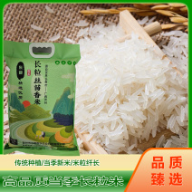 【精品】广西长粒香大米产地直发当季新米长粒香米10斤