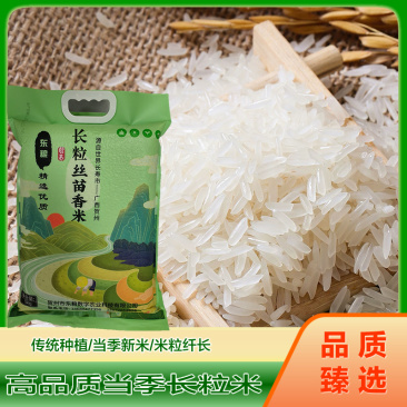 【精品】软香丝苗米当季新米猫牙米长粒香米10斤