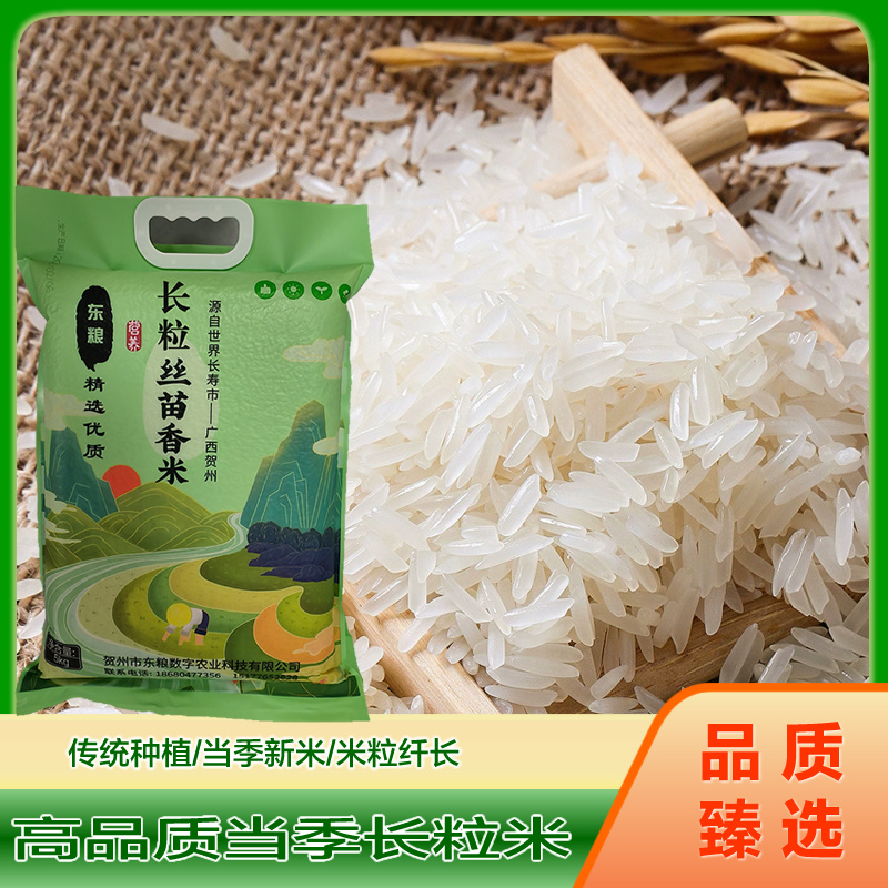 【精品】软香丝苗米当季新米猫牙米长粒香米10斤
