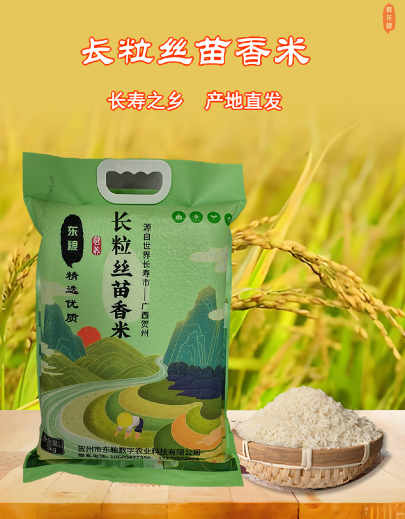 【精品】软香丝苗米当季新米猫牙米长粒香米10斤