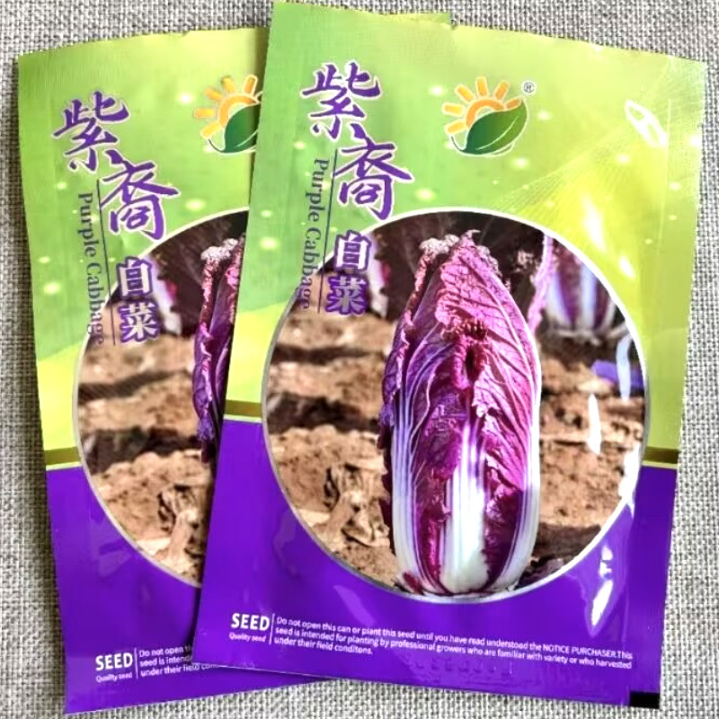 紫裔紫白菜种子结球紫色大白菜种子春秋大田基地种植蔬菜种子