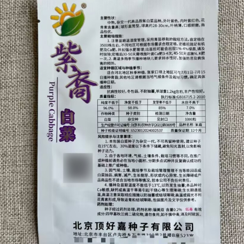 紫裔紫白菜种子结球紫色大白菜种子春秋大田基地种植蔬菜种子