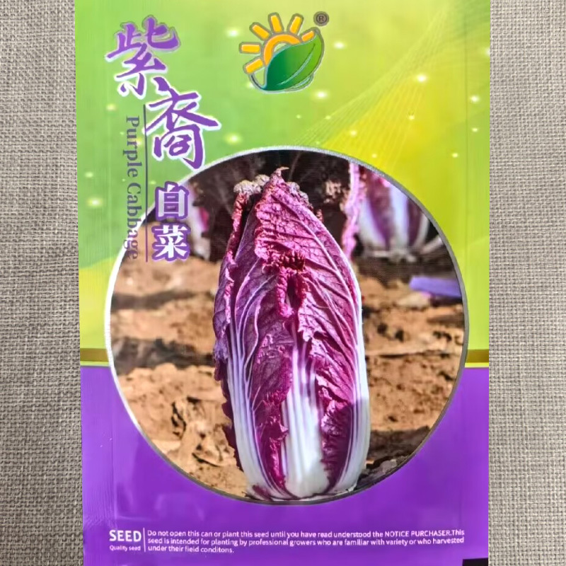 紫裔紫白菜种子结球紫色大白菜种子春秋大田基地种植蔬菜种子