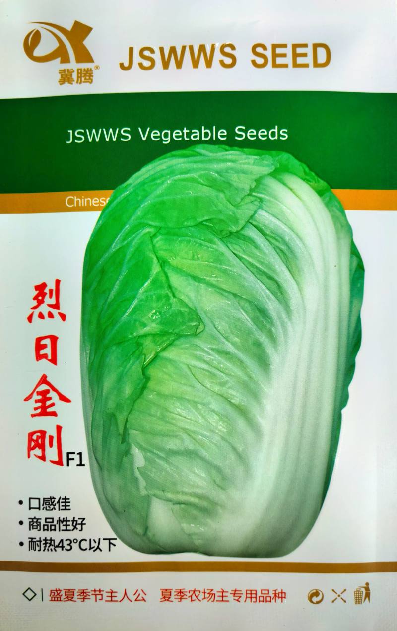 烈日金刚大白菜种子夏播耐热耐湿耐高温夏秋包心白菜种籽